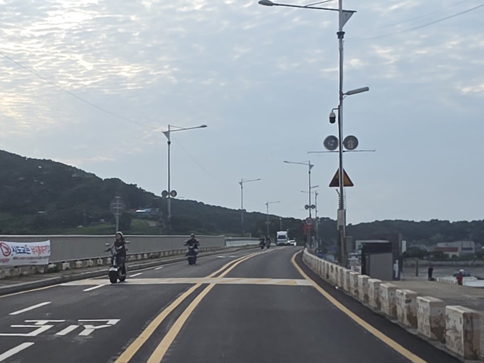 배미꾸미 사진 6