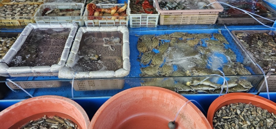 청미횟집 사진 3