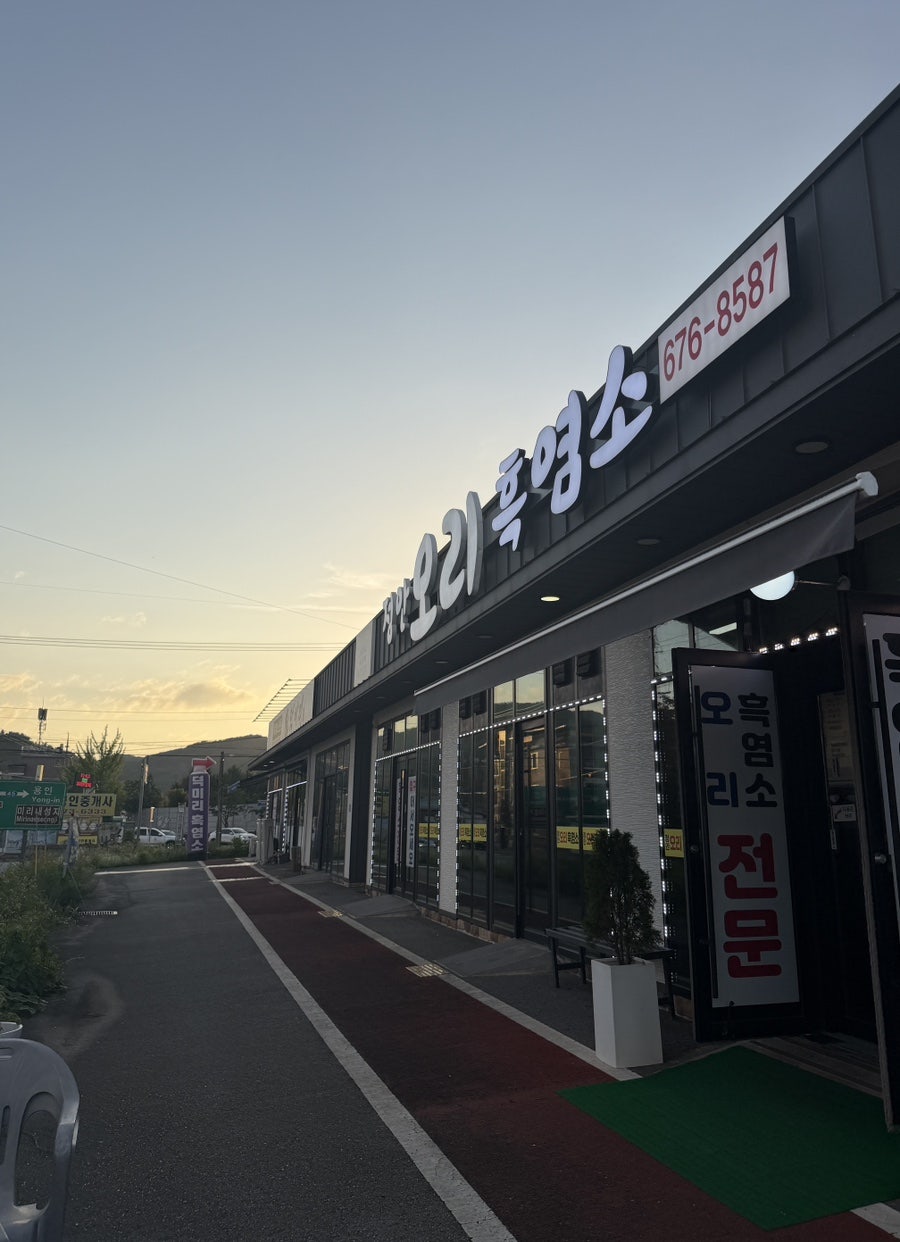 정안오리 사진 3