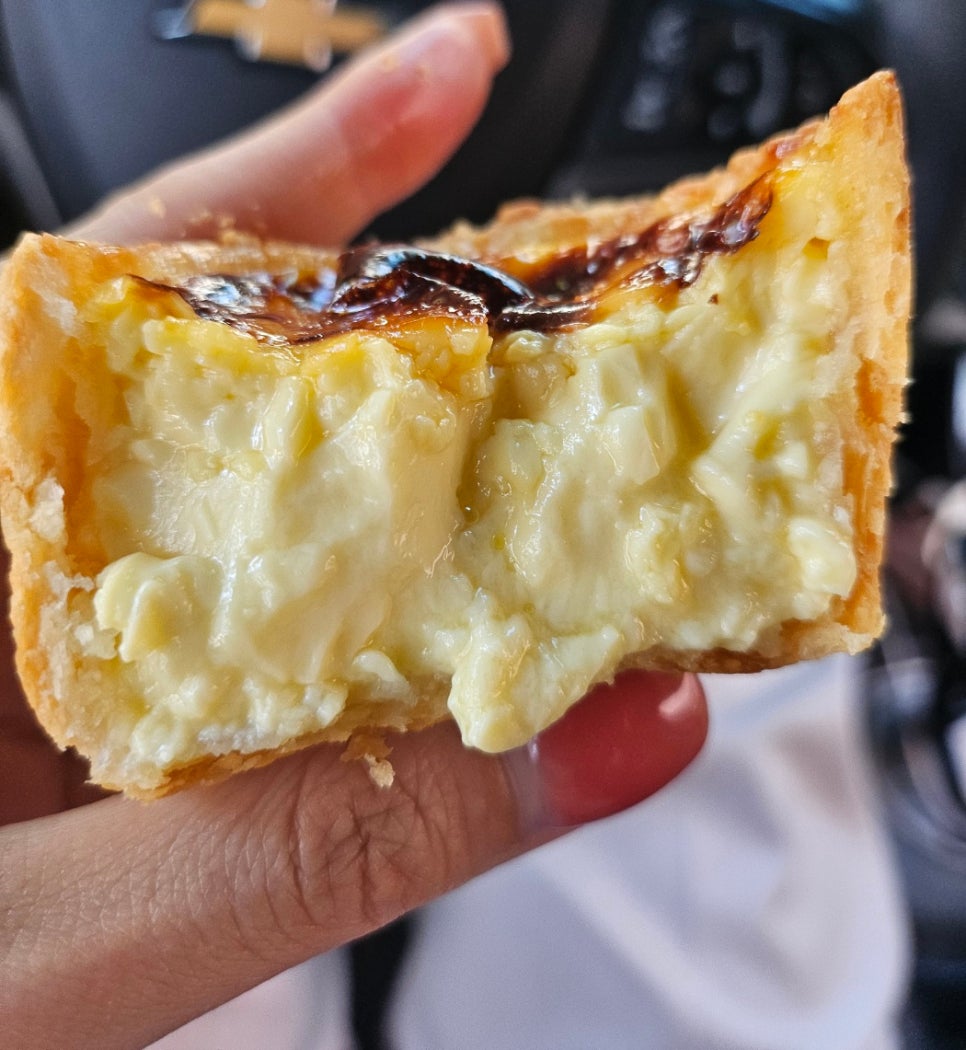 인비토 사진 2