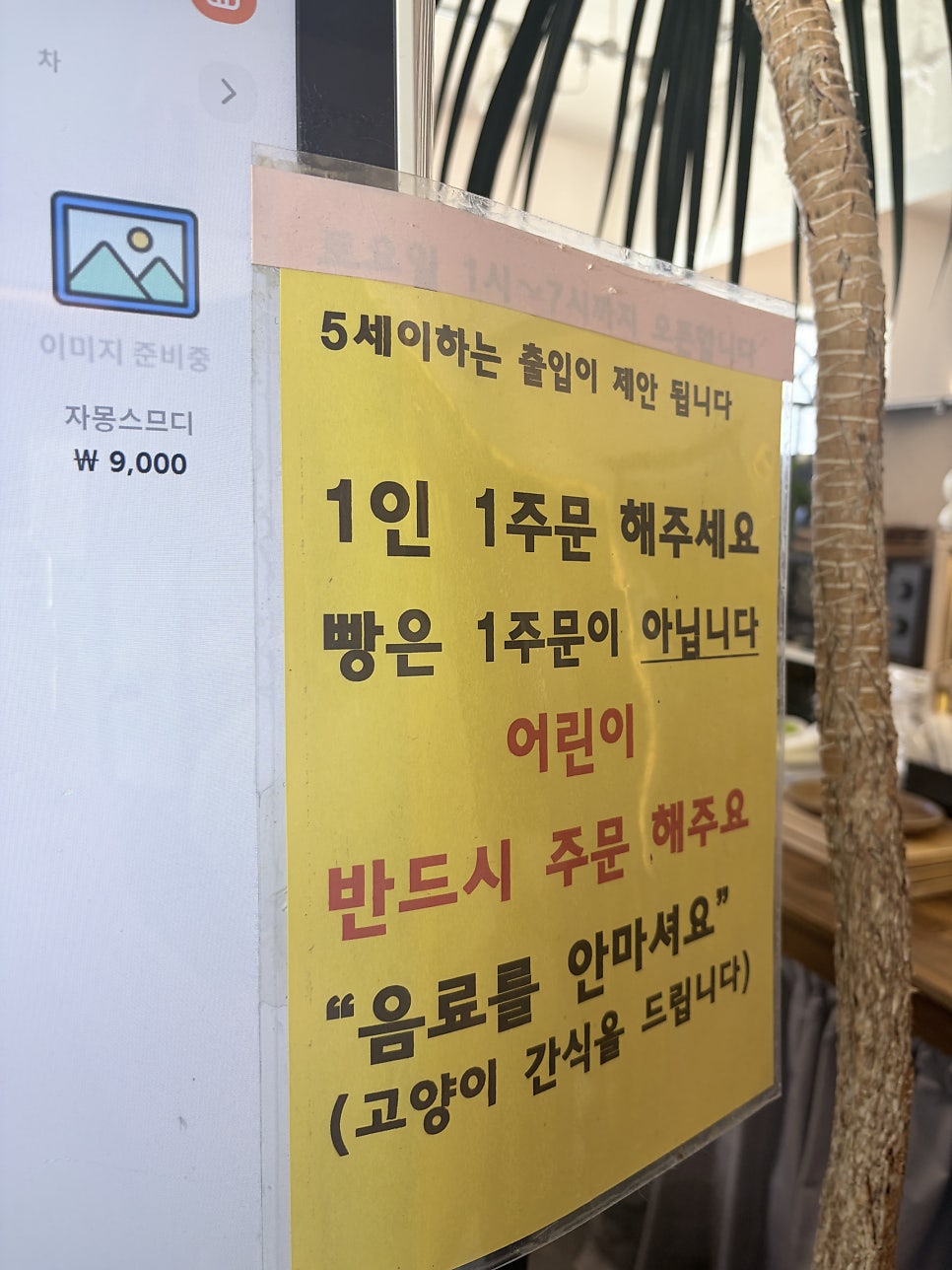 마마스캣 사진 6