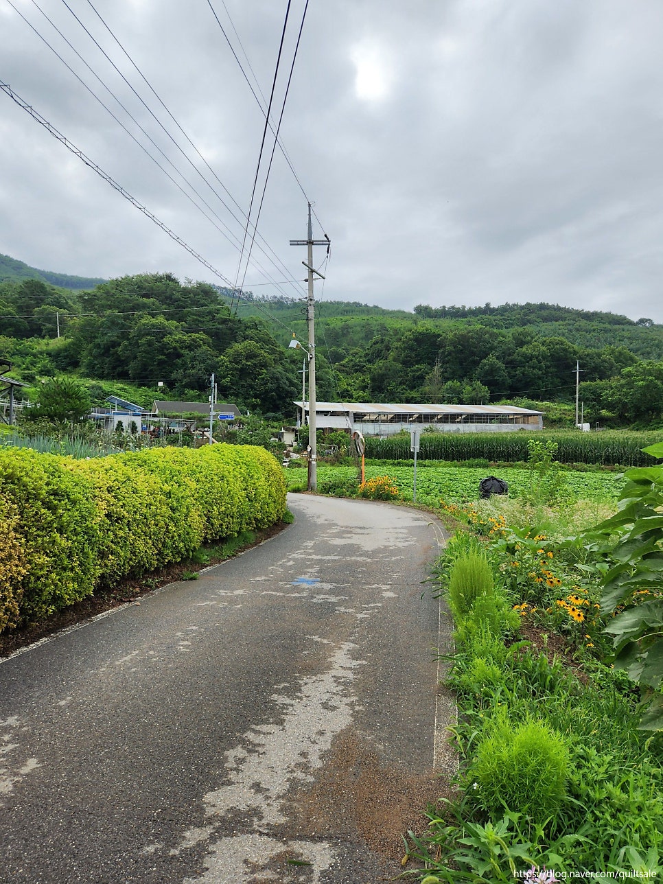 태화산 사진 5