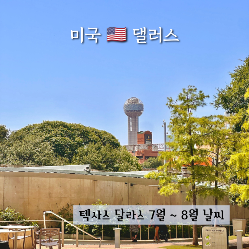 텍사스 달라스 7월 8월 날씨 여름 여행 옷차림 준비물 유의사항