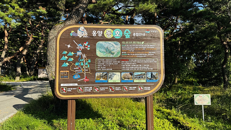 동호숲 사진 6