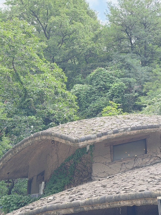 흥부네 사진 2