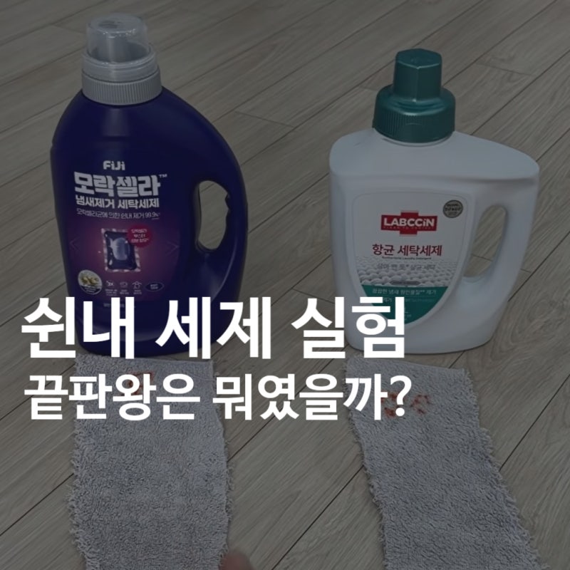 모락셀라 세제, 랩신 이겼다｜쉰내 실험 결과