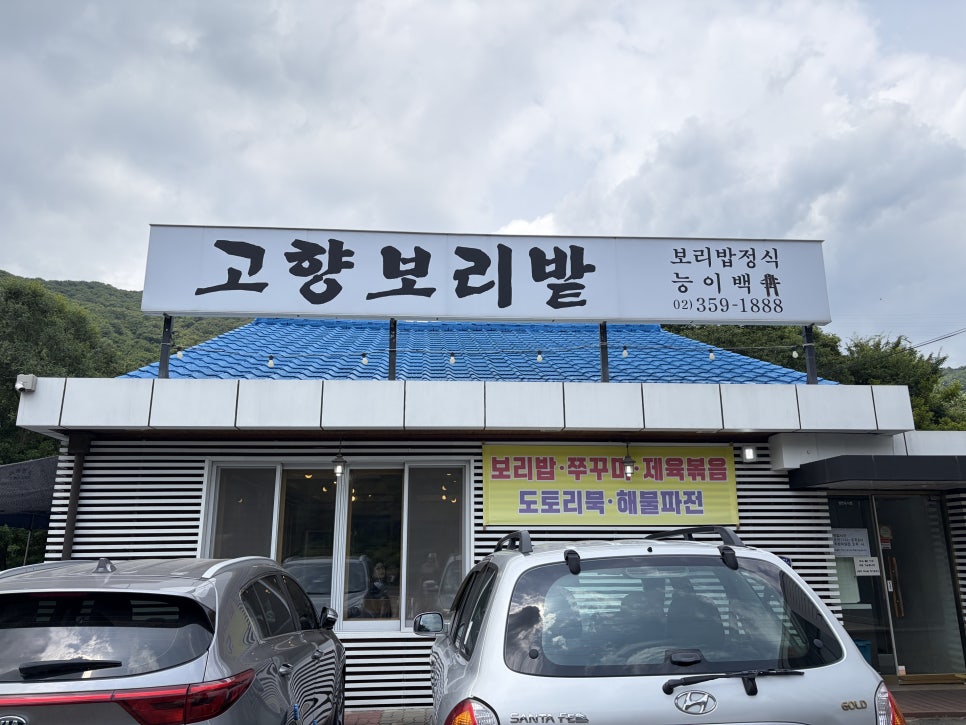 고향보리밭 사진 1