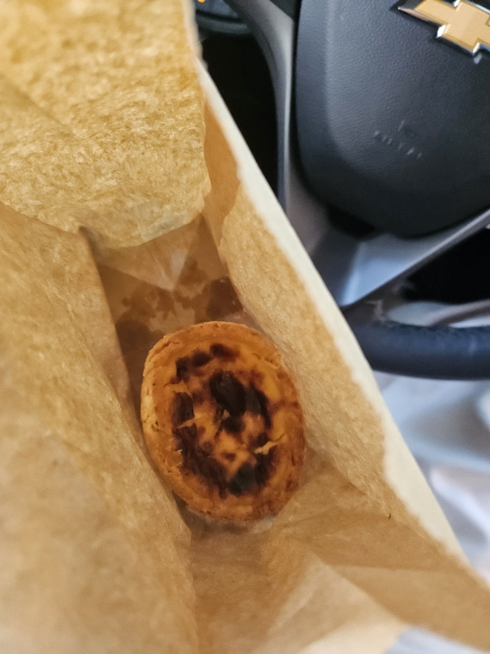 인비토 사진 6