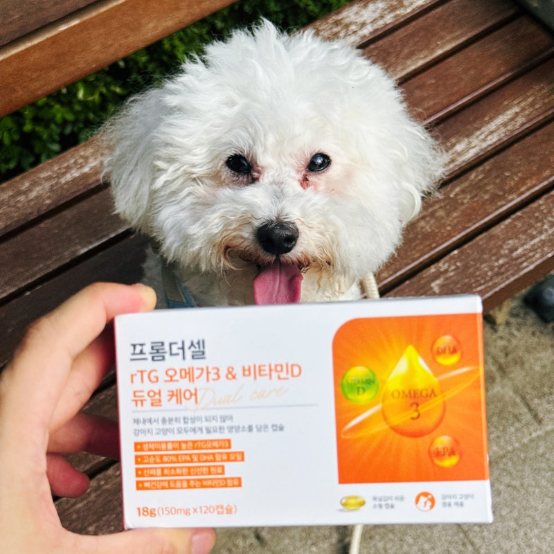 강아지 오메가3 프롬더셀 피부 영양제 왜 좋을까