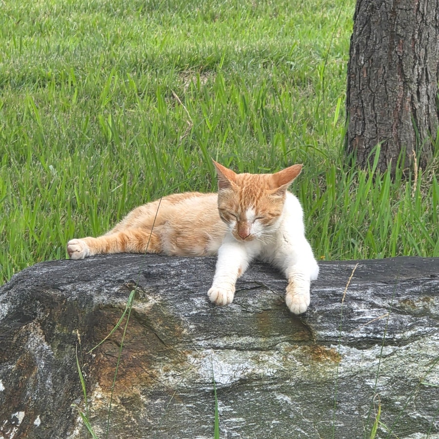 네모 사진 6