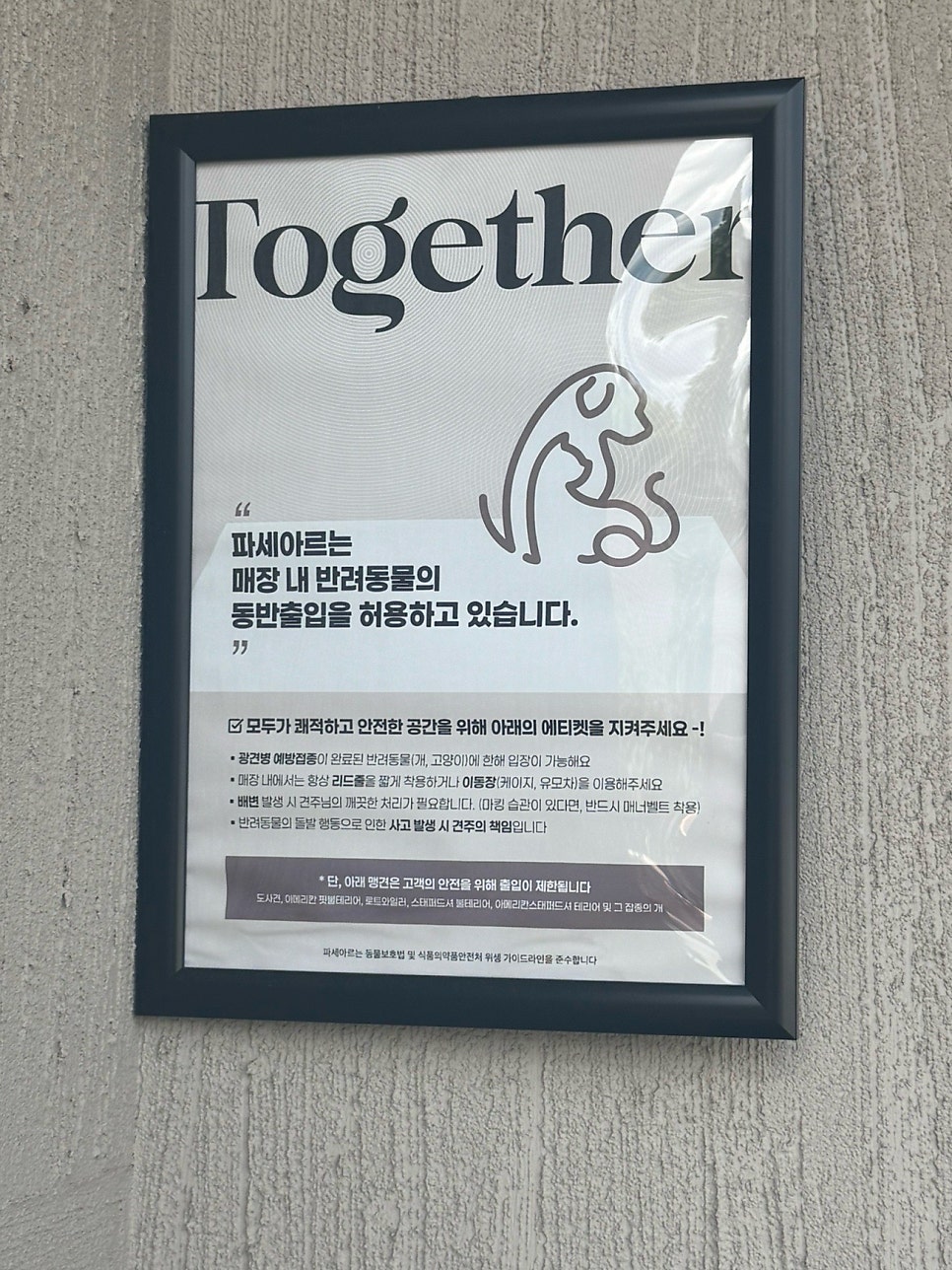 파세아르 사진 5