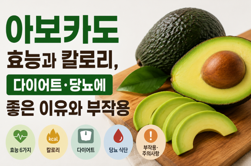 아보카도 효능과 칼로리, 다이어트·당뇨에 좋은 이유와 부작용