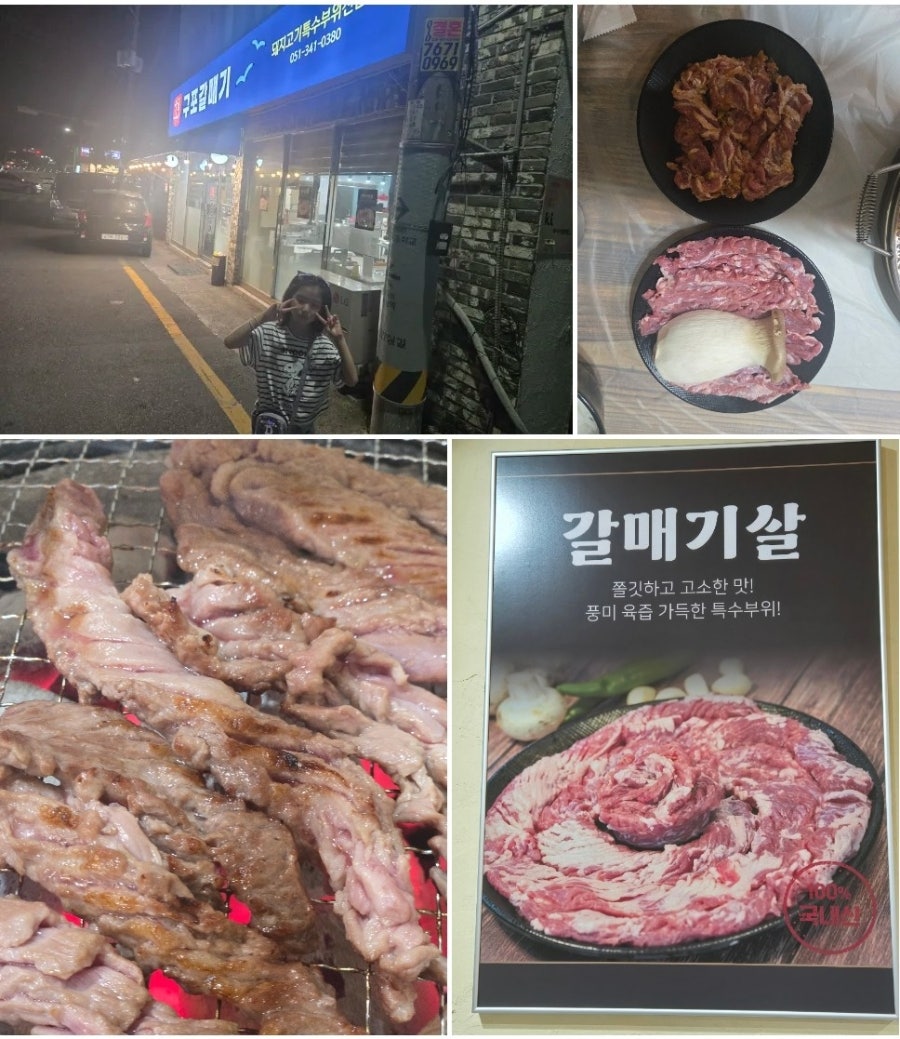 구포갈매기 사진 1
