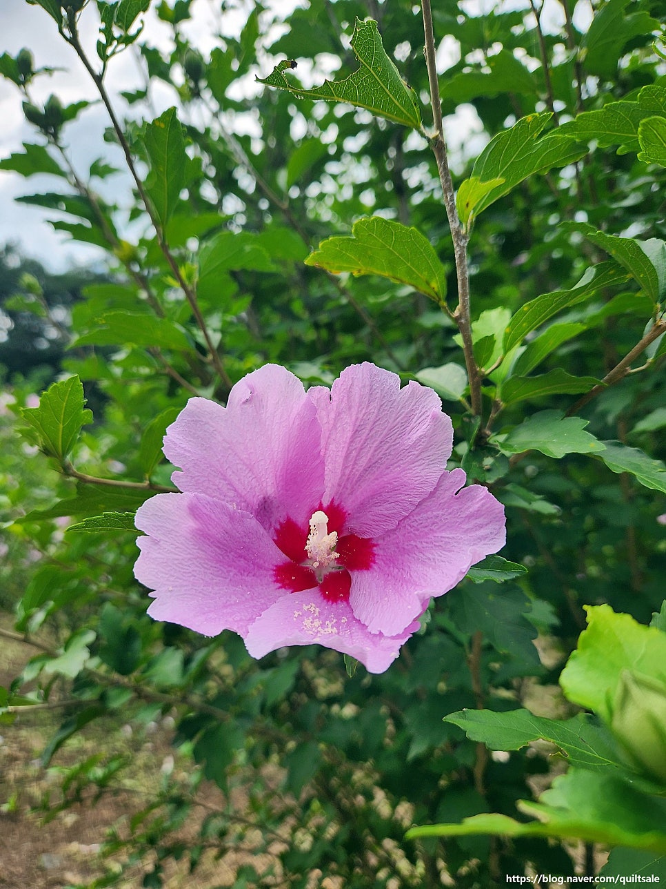 한반도지형전망대 사진 6