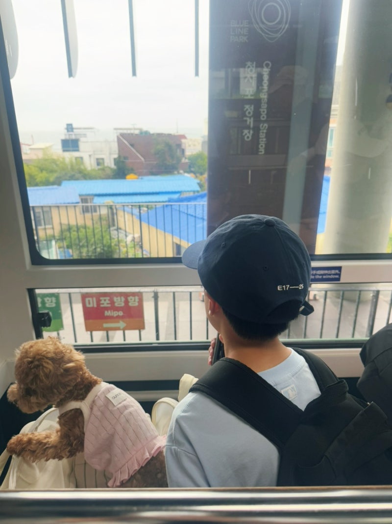 부산 해운대 해변열차 스카이캡슐 예약 코스 블루라인파크 애견동반