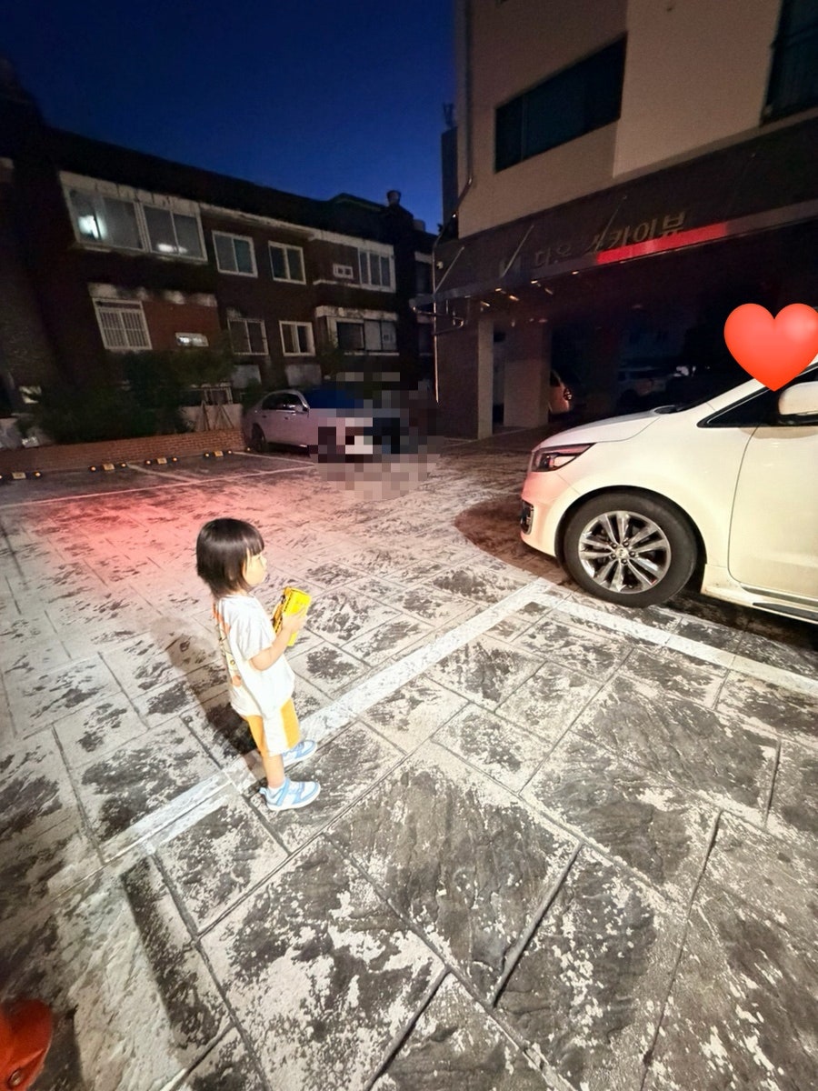 명동보쌈 사진 3
