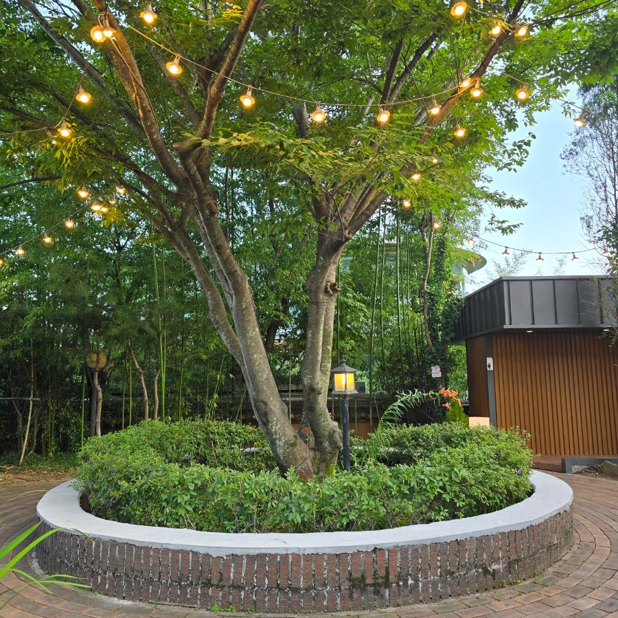 도동산방 사진 6