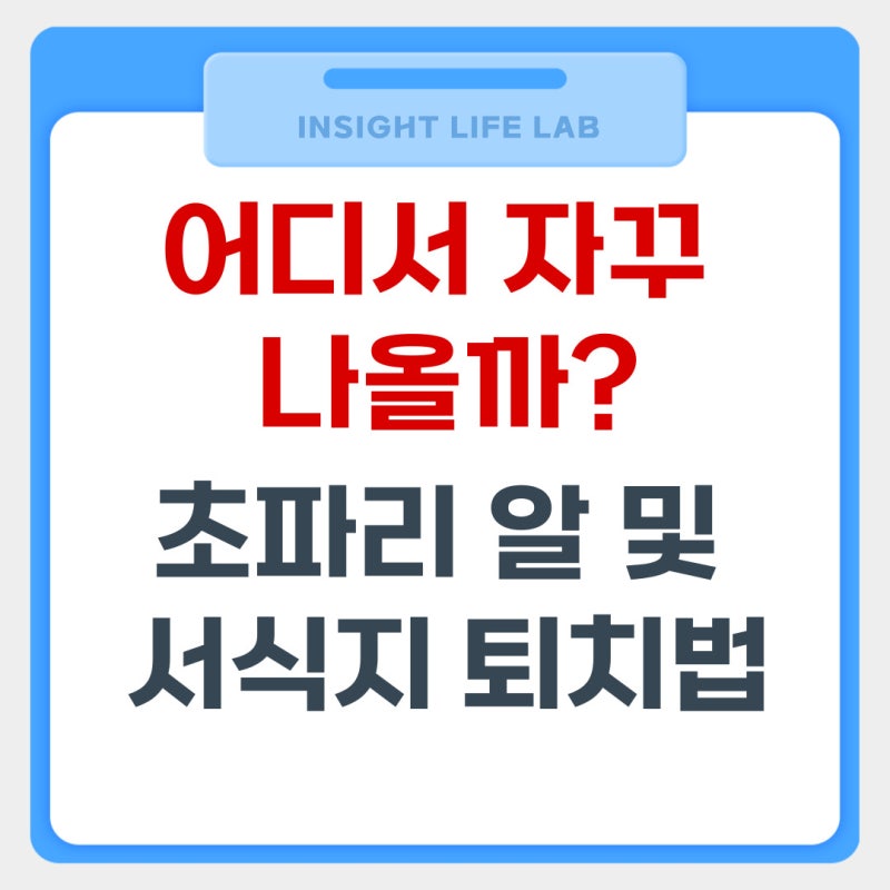 초파리 알 퇴치 및 생기는 이유 3가지 차단 수명 없애는 법 총정리