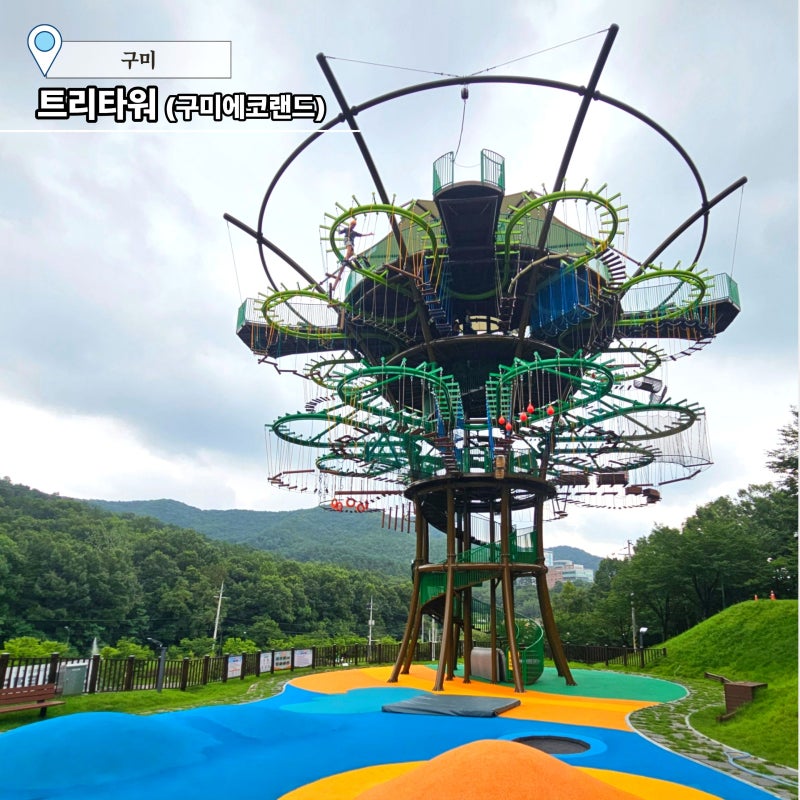 구미 아이랑 가볼만한 곳 구미에코랜드 트리타워 이용후기
