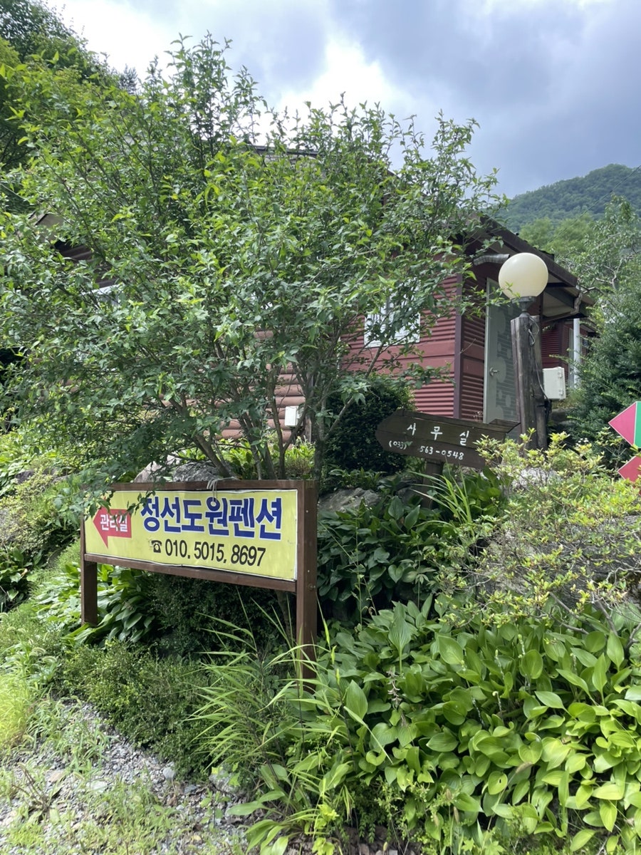 도원 사진 3