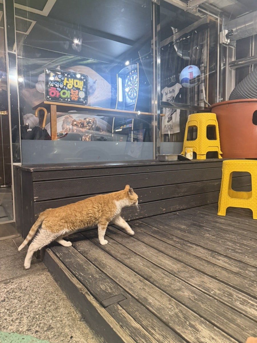 마통 사진 1