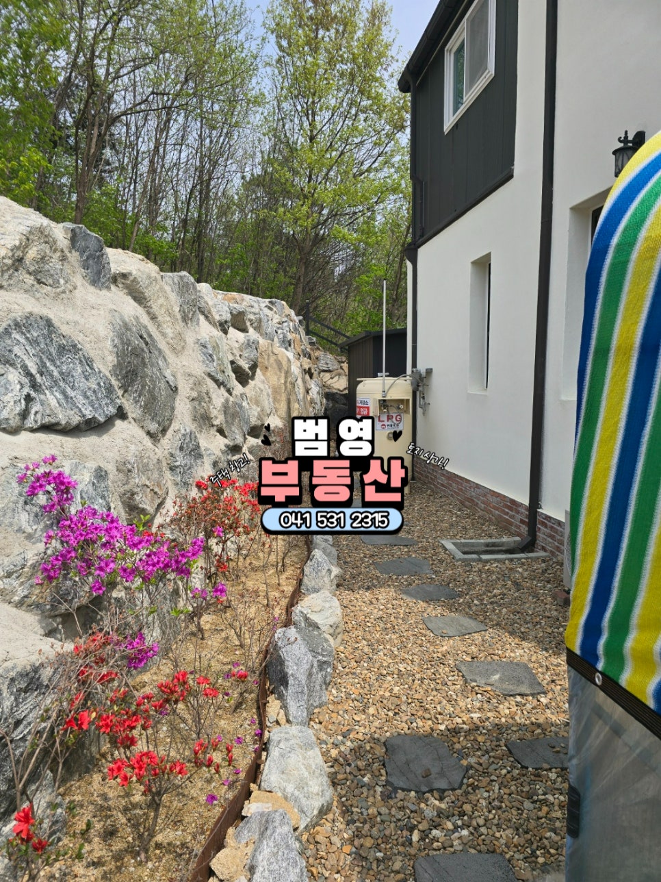 들꽃 사진 3