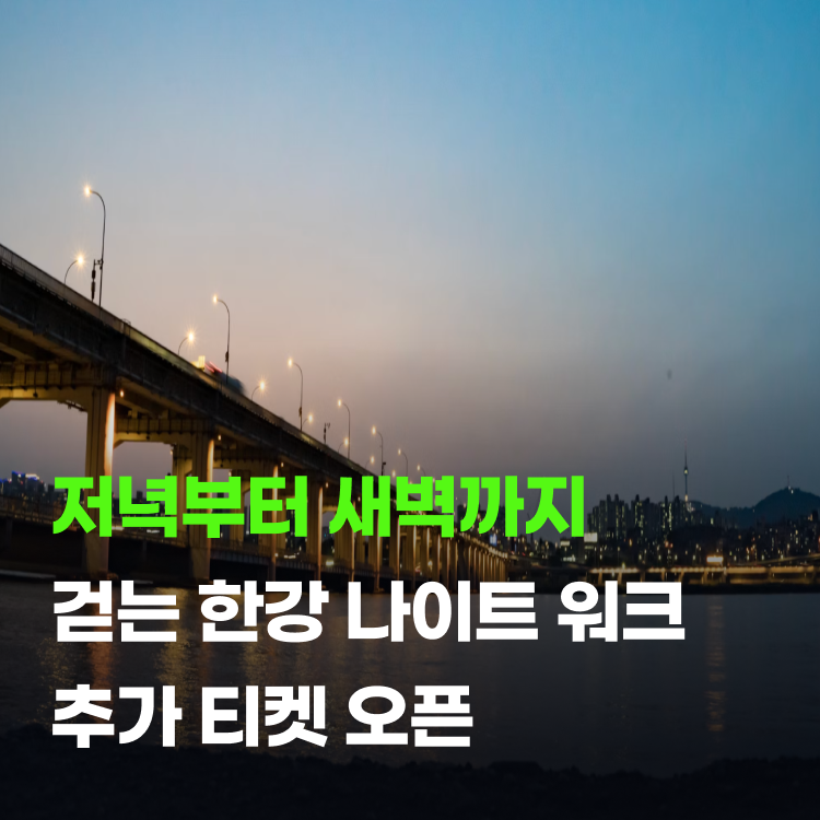 2026 한강나이트워크 추가 티켓 코스별 난이도 준비물 총정리