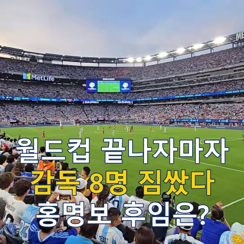 홍명보 후임은 누구, 월드컵 이후 감독 교체 뒷이야기