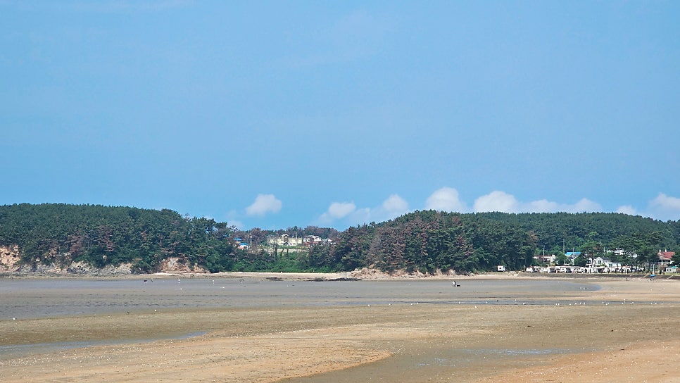 타이티펜션 사진 4
