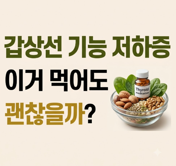 갑상선 기능 저하증 음식 피해야 할 음식과 약 흡수 방해 성분 총정리