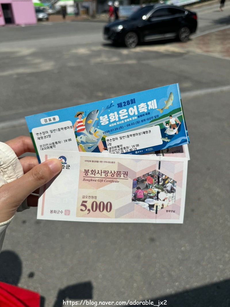 2026 봉화은어축제 일정 주차 은어맨손잡이체험 가격 솔직후기