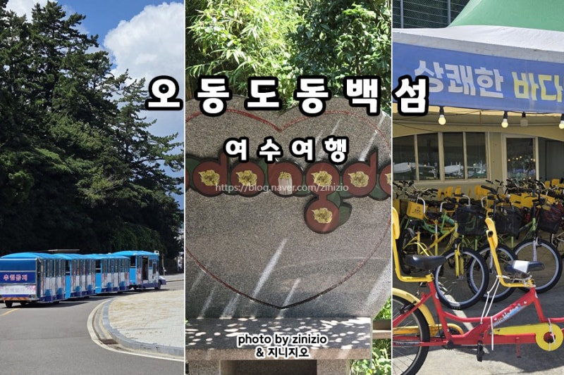 여수여행 가볼만한곳 동백섬 오동도 동백열차 시간 요금 가격 자전거