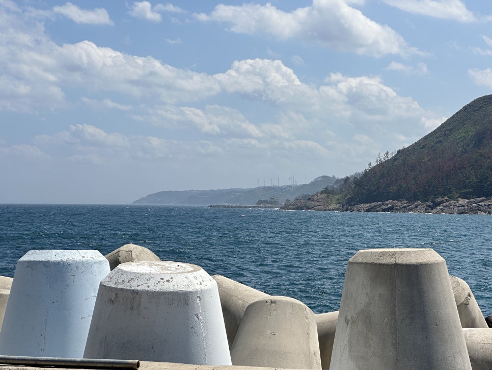 죽도산 사진 6