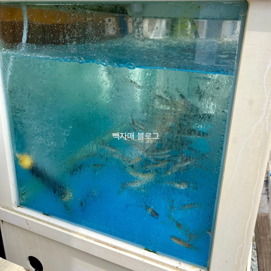 양남맛집 사진 3