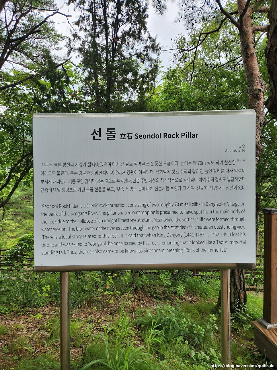 서강 사진 4