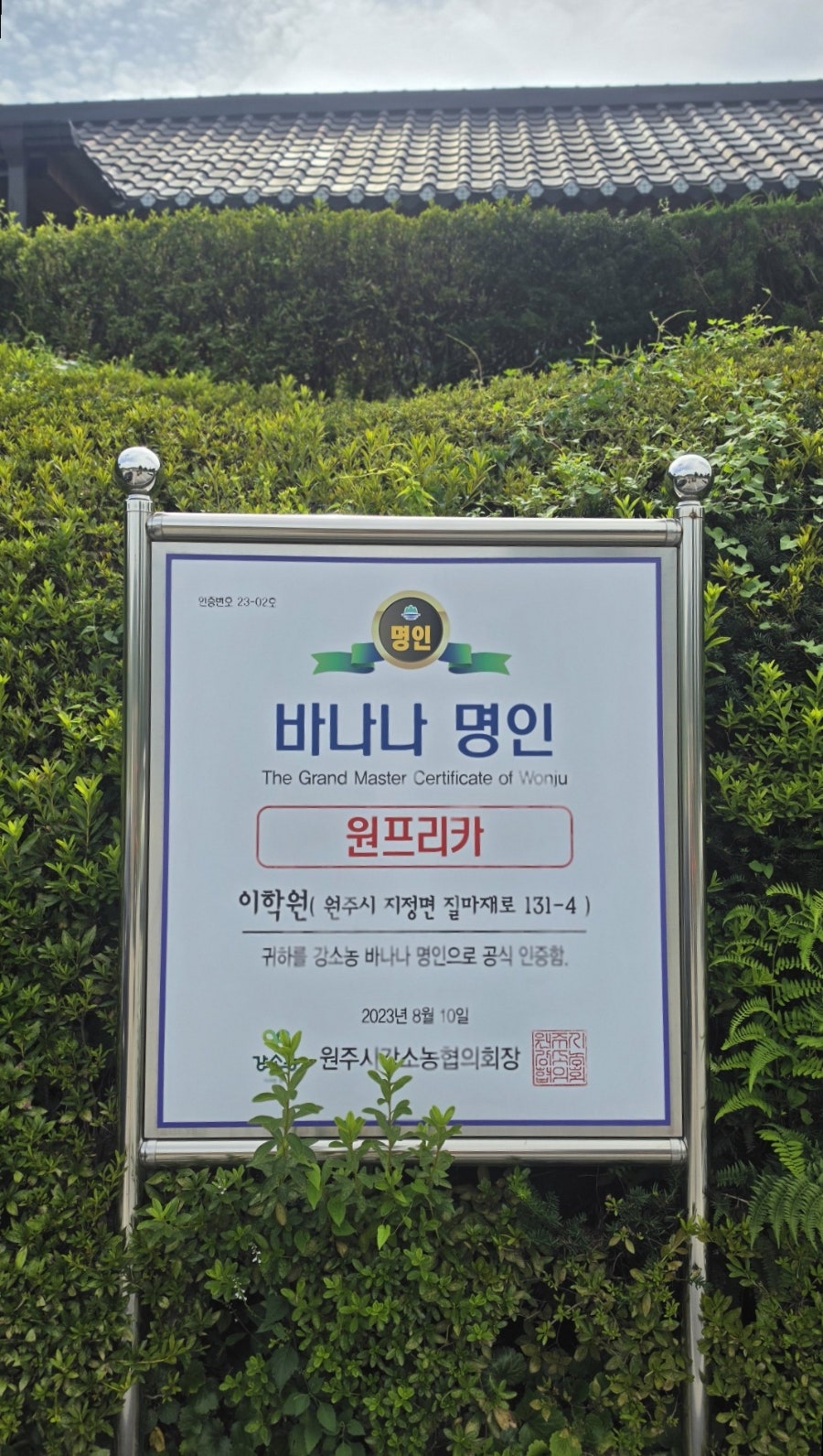 원프리카 사진 2
