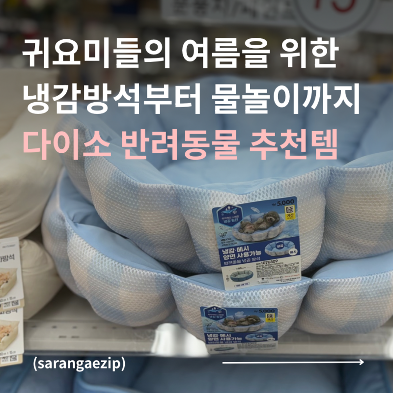 다이소 강아지 고양이 여름 추천템 | 냉감 방석 물놀이용품 구명조끼 튜브 목욕용품 등