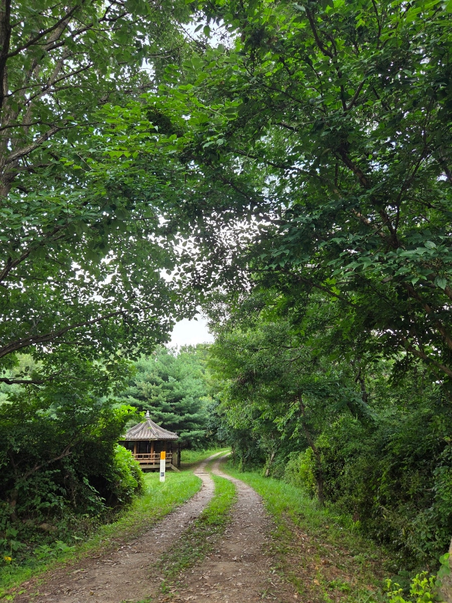 몽산 사진 6