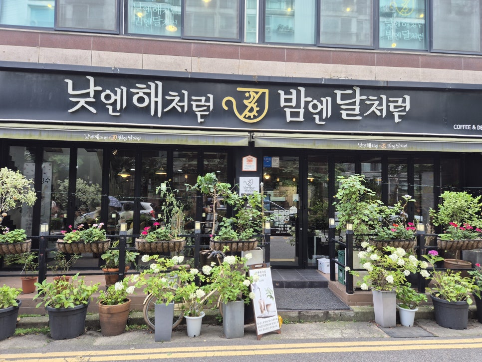 낮엔해처럼 밤엔달처럼 사진 2