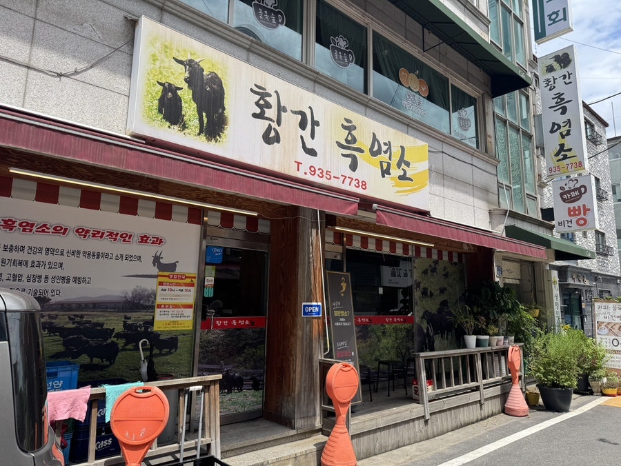황간흑염소 사진 2