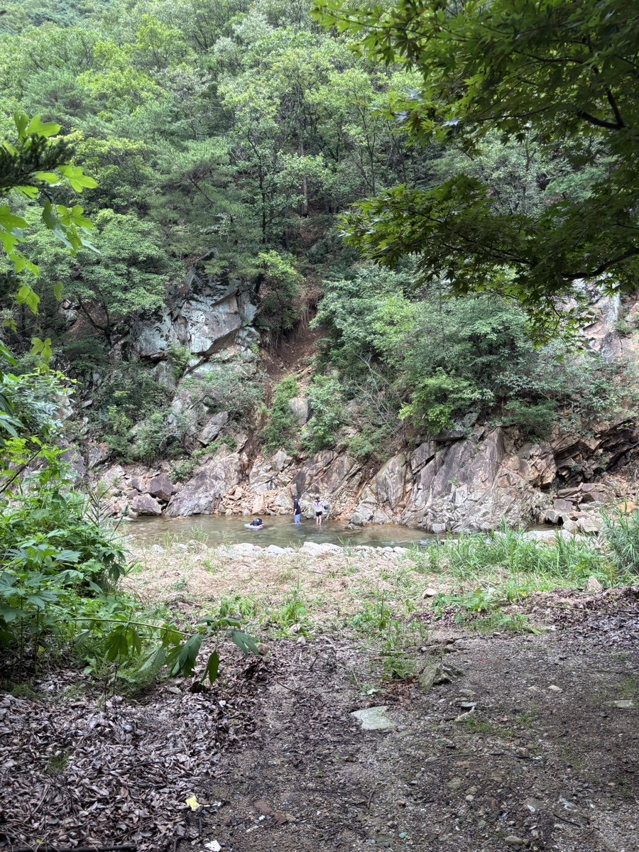 온오프 사진 4