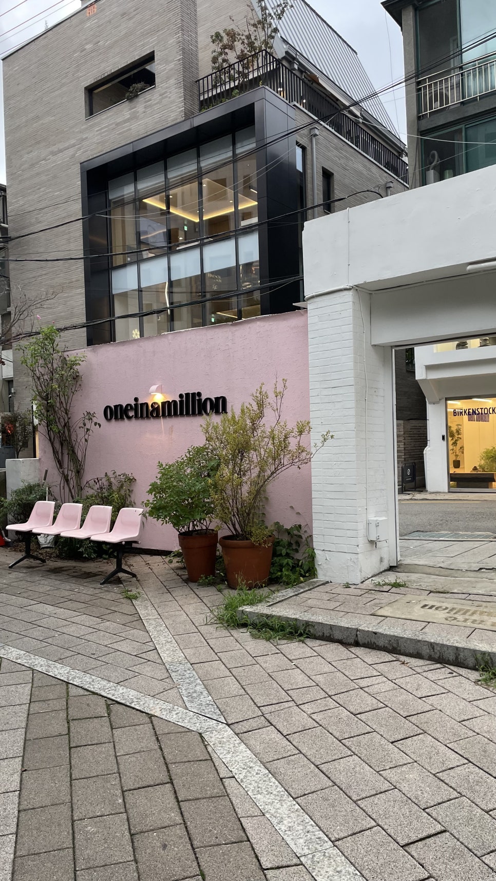 원인어밀리언 사진 4