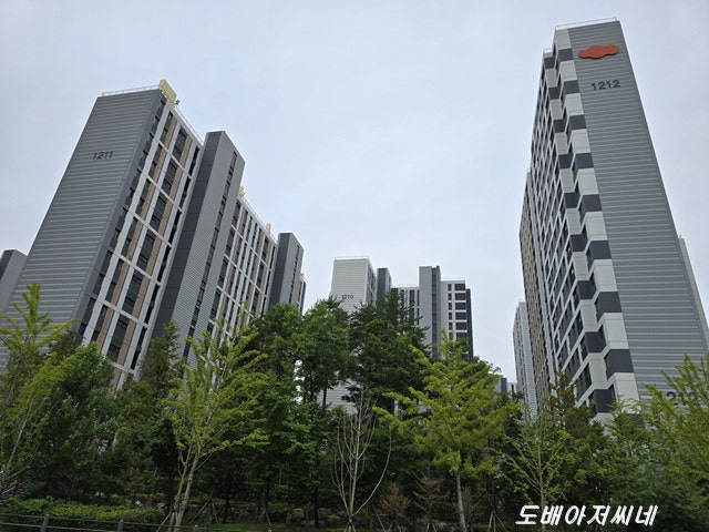 어반 사진 3
