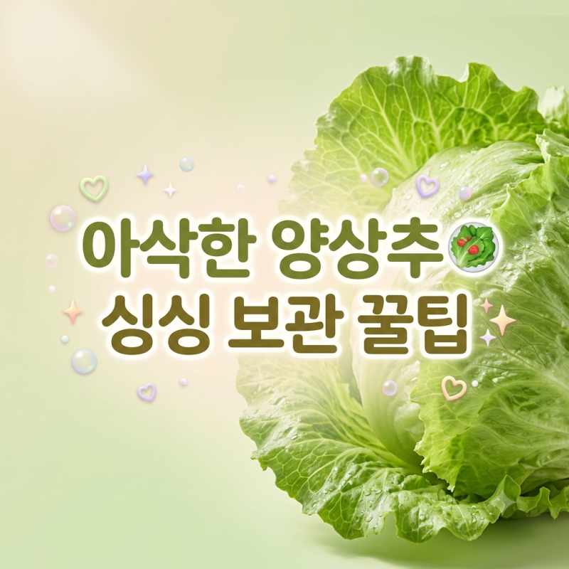 양상추 효능, 다이어트 식단부터 신선한 보관법까지 총정리