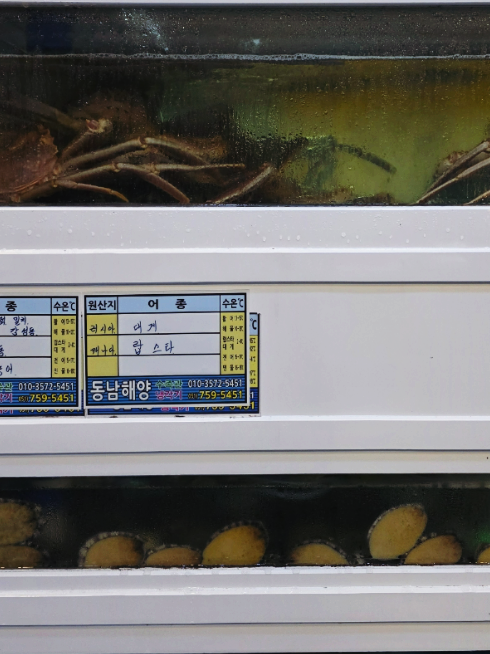 대영횟집 사진 2