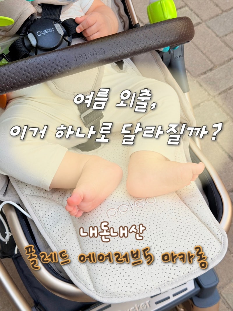[내돈내산]통풍시트 고민 끝! 결국 폴레드 에어러브5 마카롱 선택한 이유