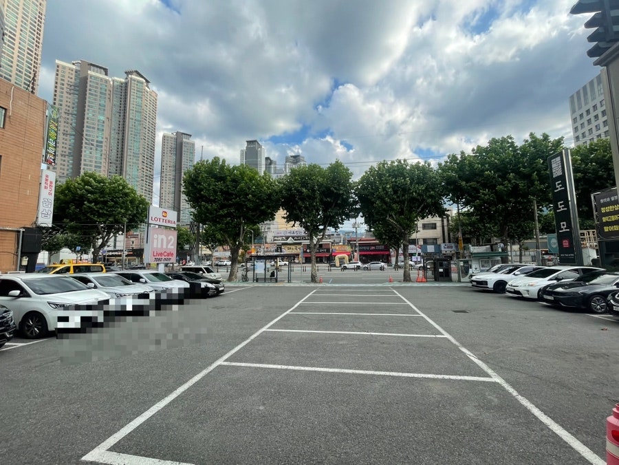 도도모 사진 4