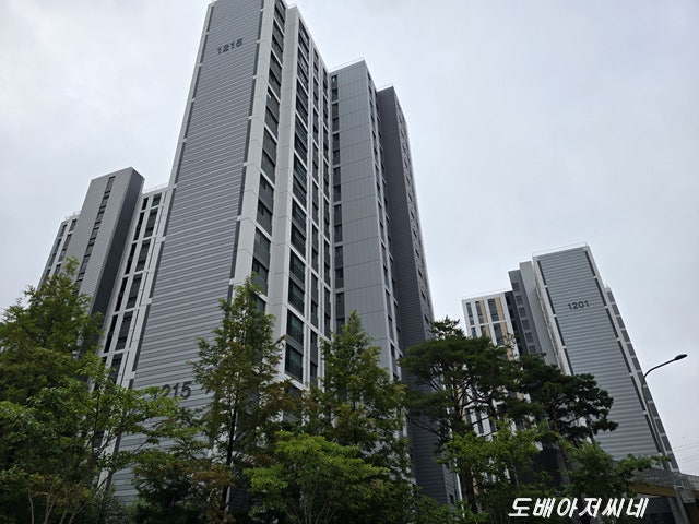 어반 사진 4