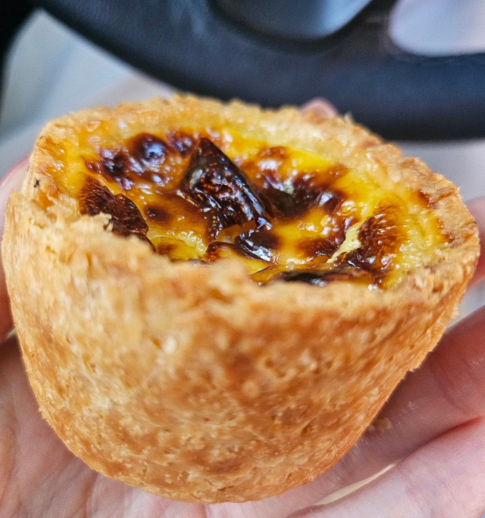 인비토 사진 4