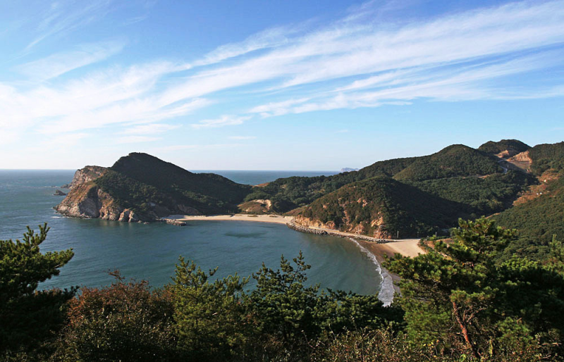 서해의 숨겨진 보물, 대청도 섬여행 완벽 가이드! (배편·코스·특산물)